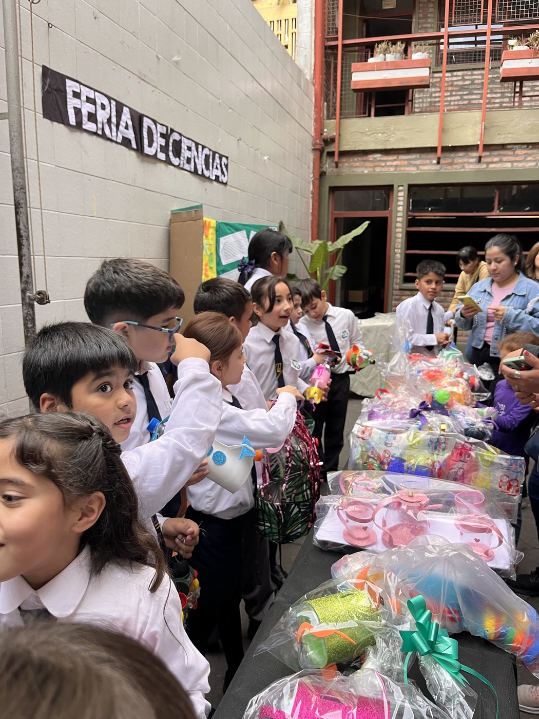 Feria de Ciencias 3°