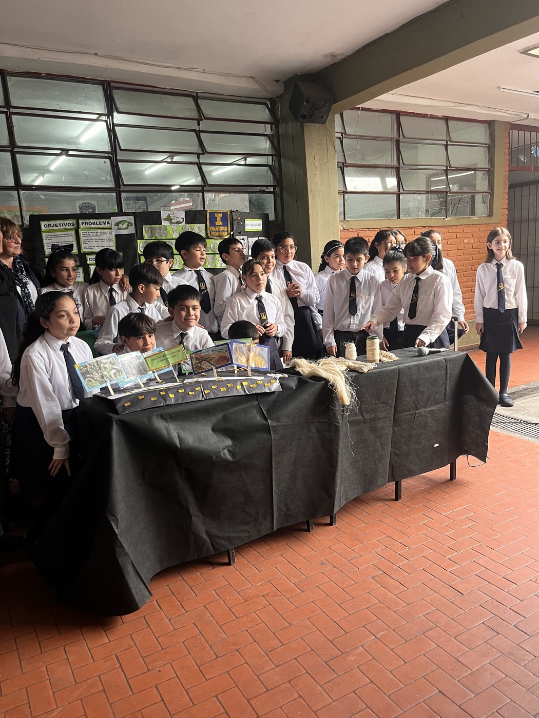 Feria de Ciencias 5°