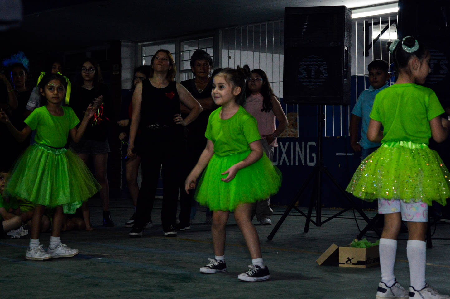Fiesta de la familia