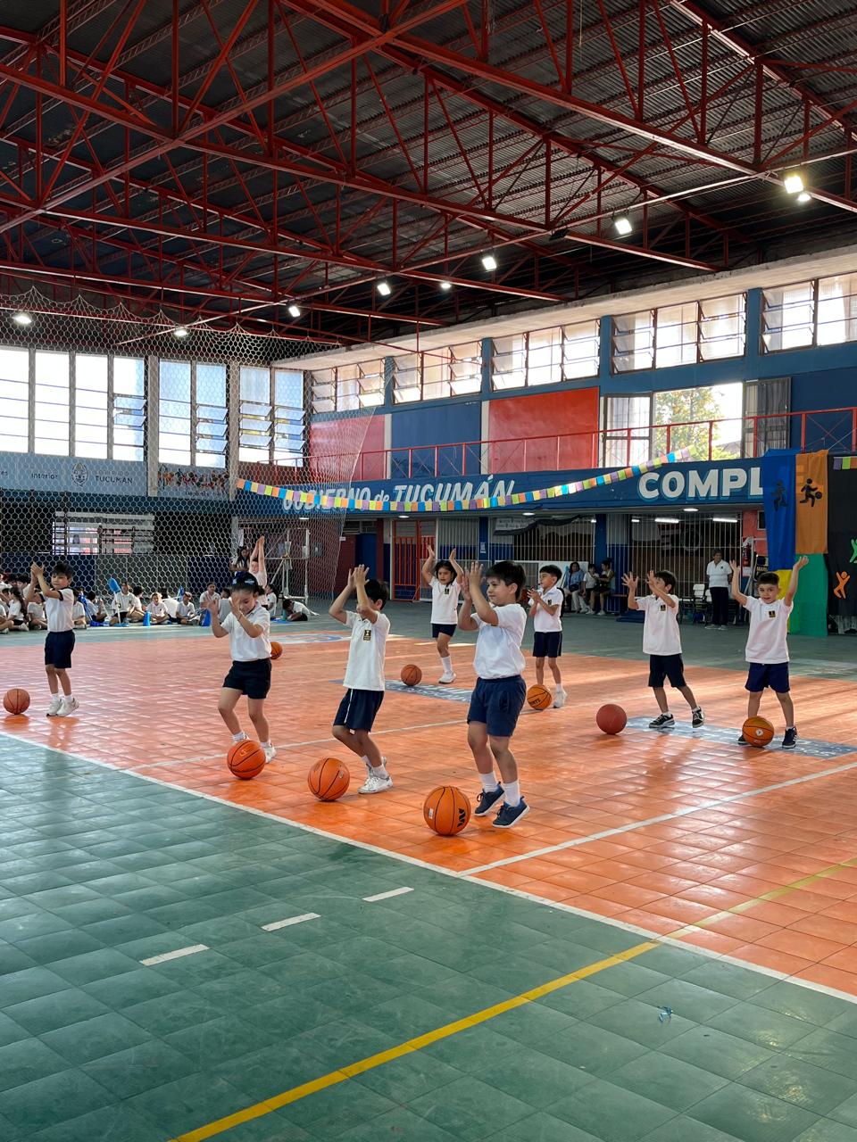 Muestra Educacion Fisica