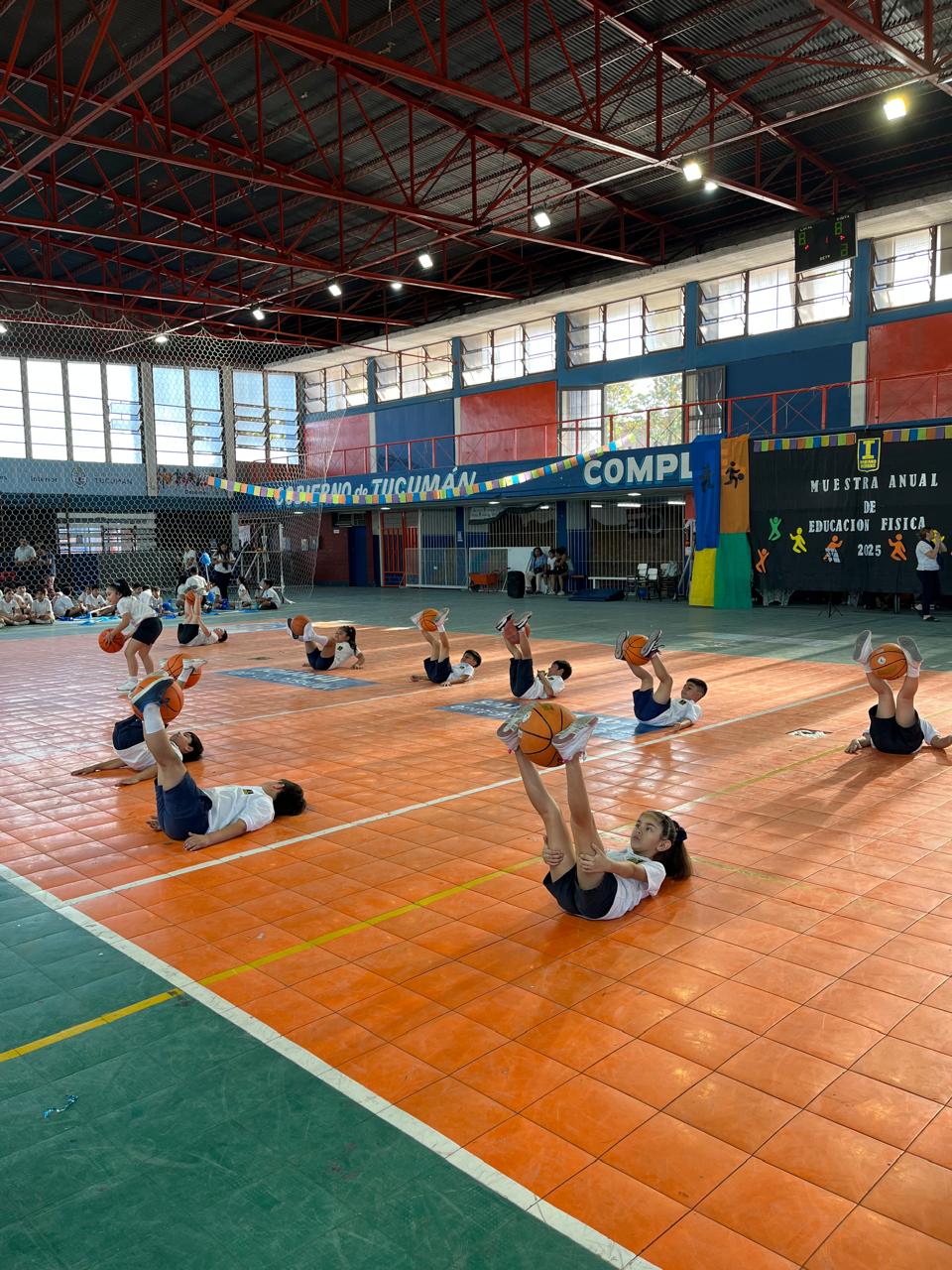 Muestra Educacion Fisica