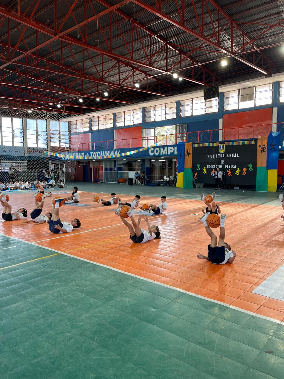 Muestra Educacion Fisica