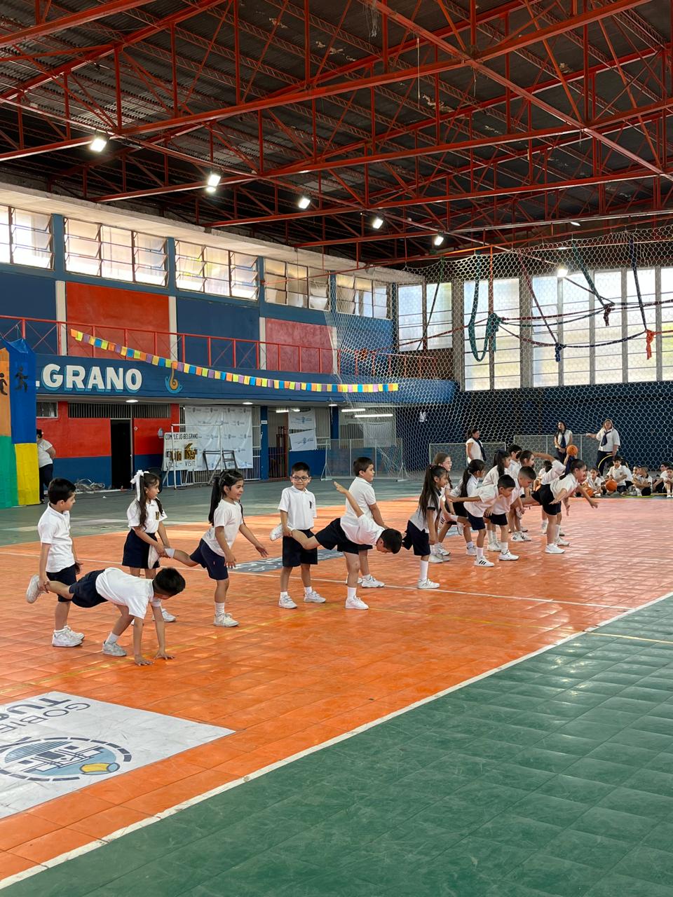 Muestra Educacion Fisica