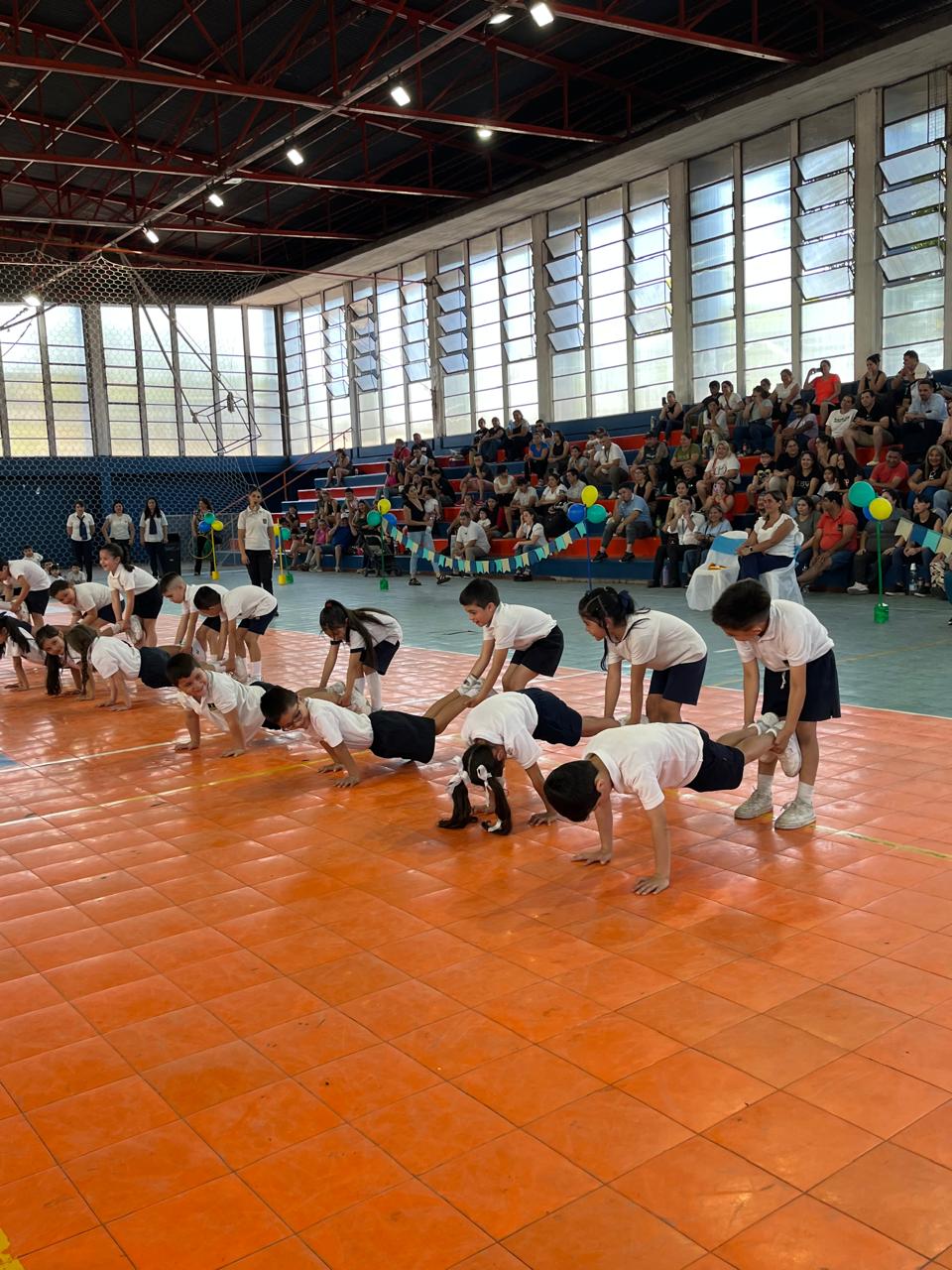 Muestra Educacion Fisica