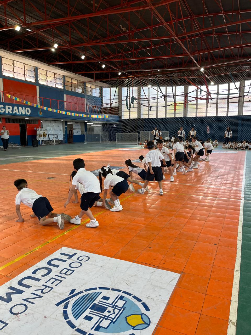 Muestra Educacion Fisica