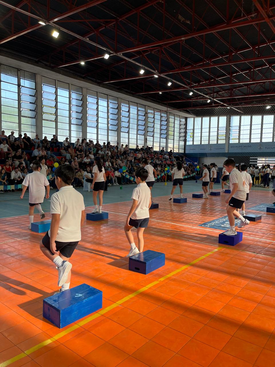 Muestra Educacion Fisica
