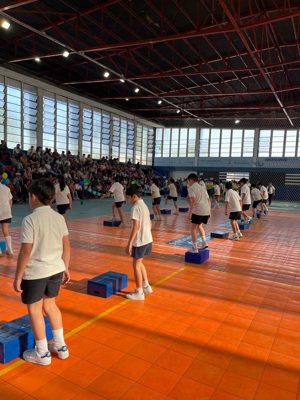 Muestra Educacion Fisica