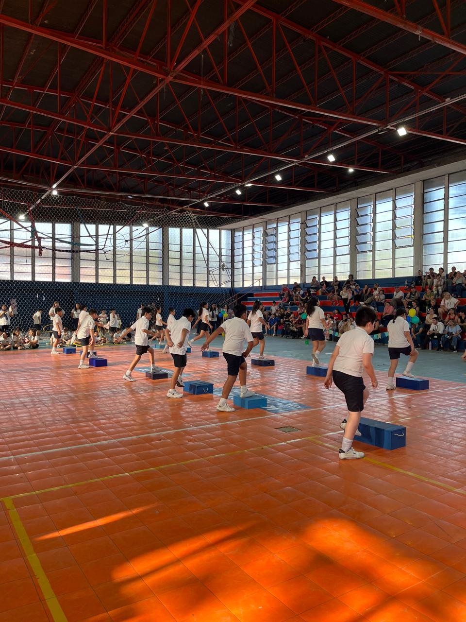 Muestra Educacion Fisica