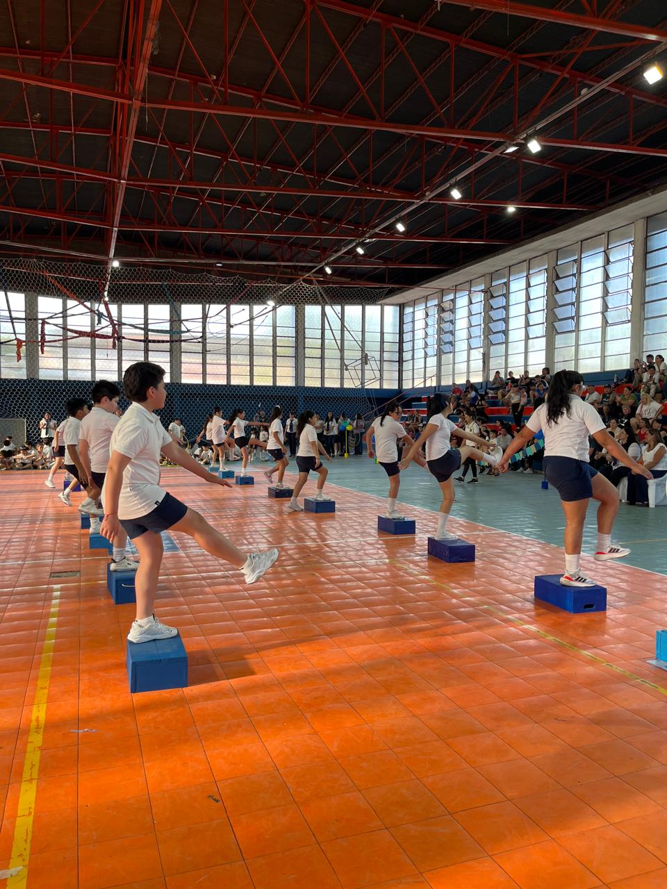 Muestra Educacion Fisica