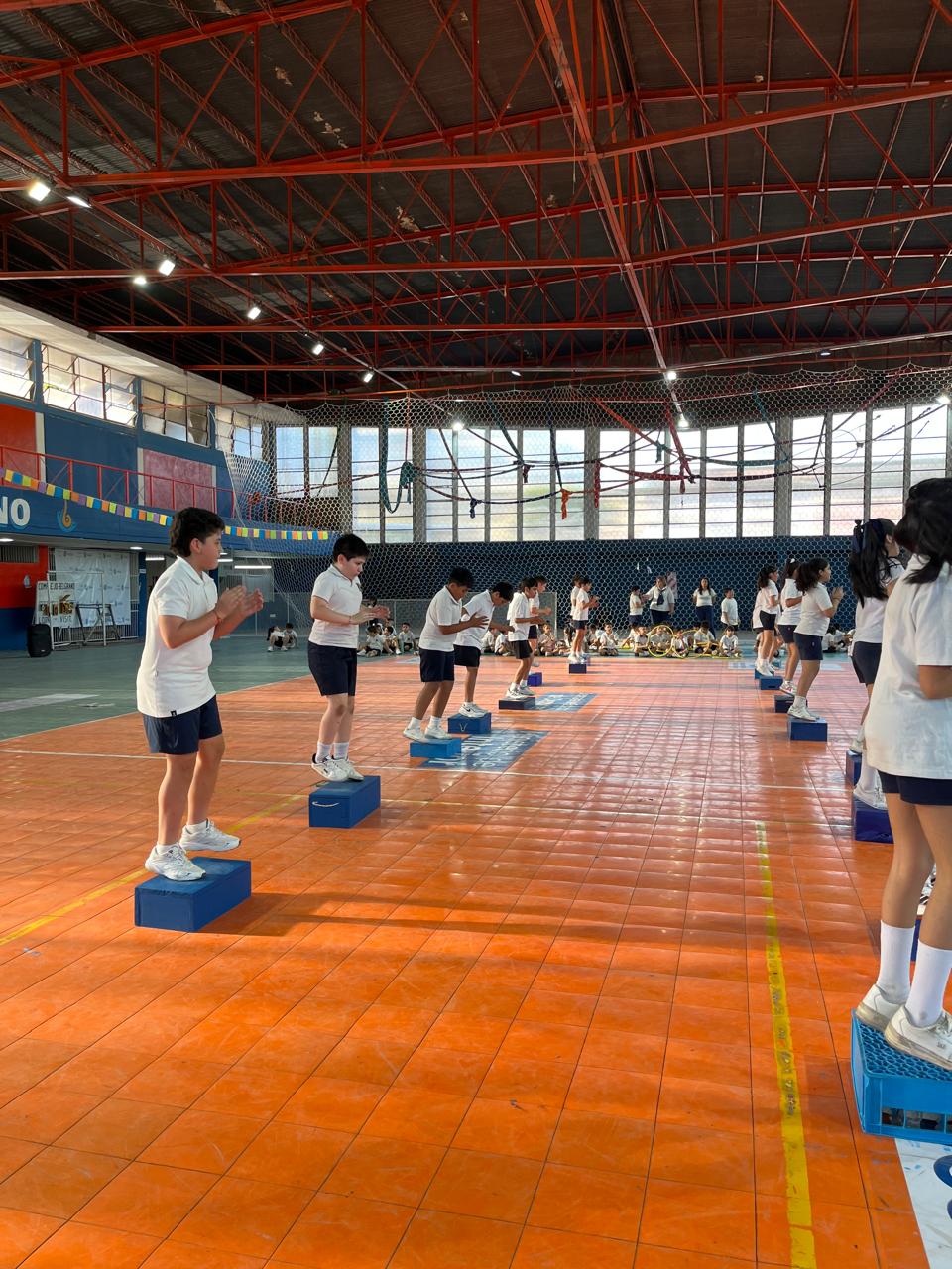 Muestra Educacion Fisica