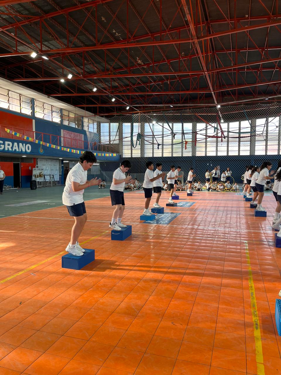 Muestra Educacion Fisica
