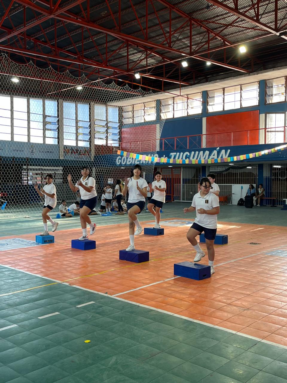 Muestra Educacion Fisica