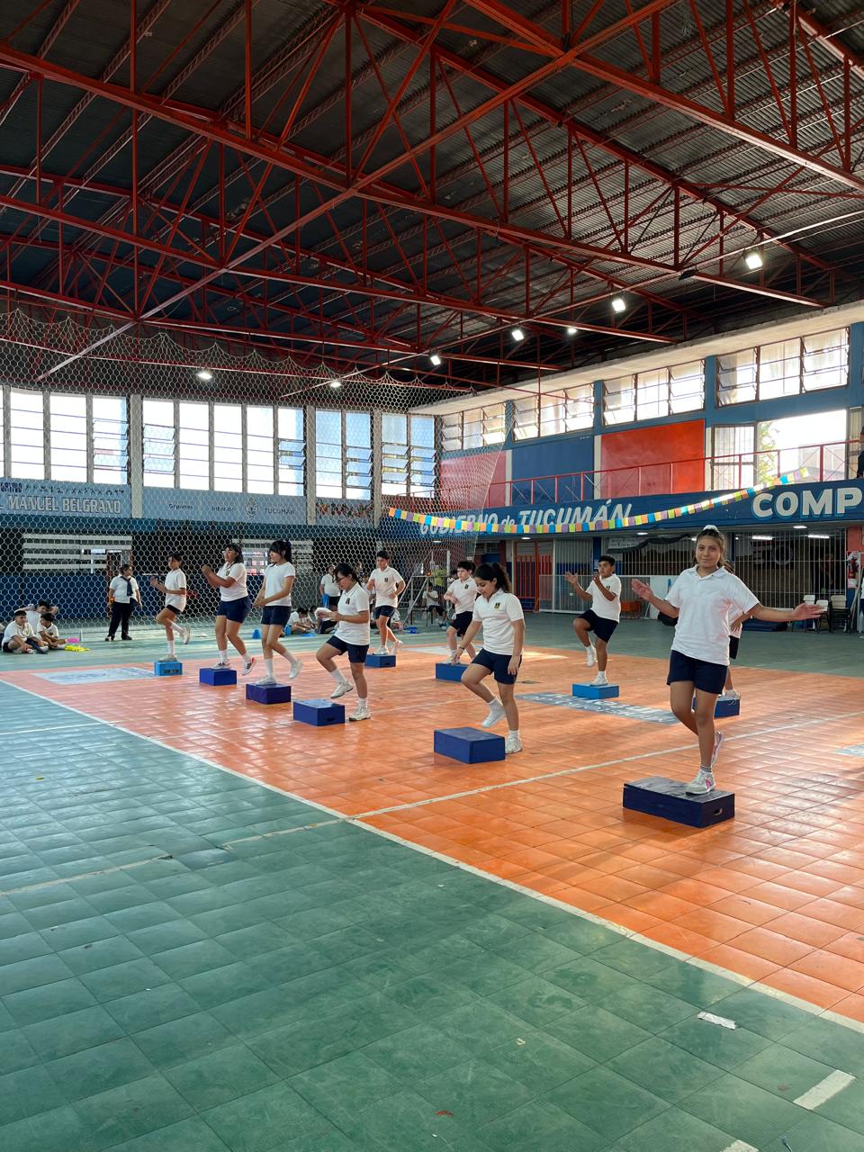 Muestra Educacion Fisica