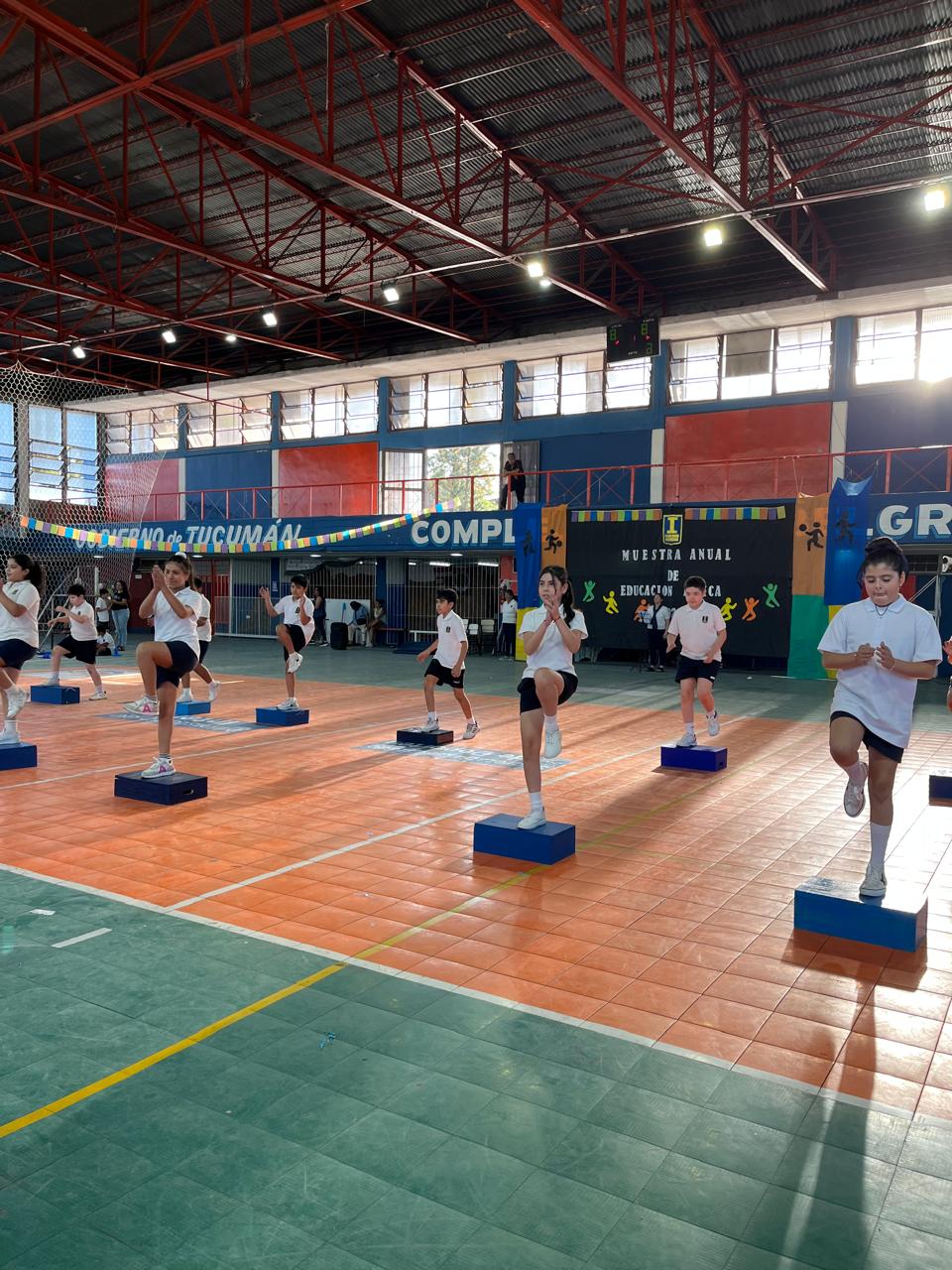 Muestra Educacion Fisica