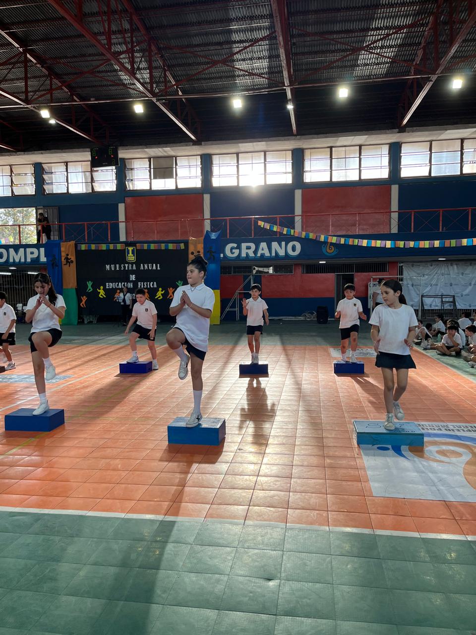 Muestra Educacion Fisica