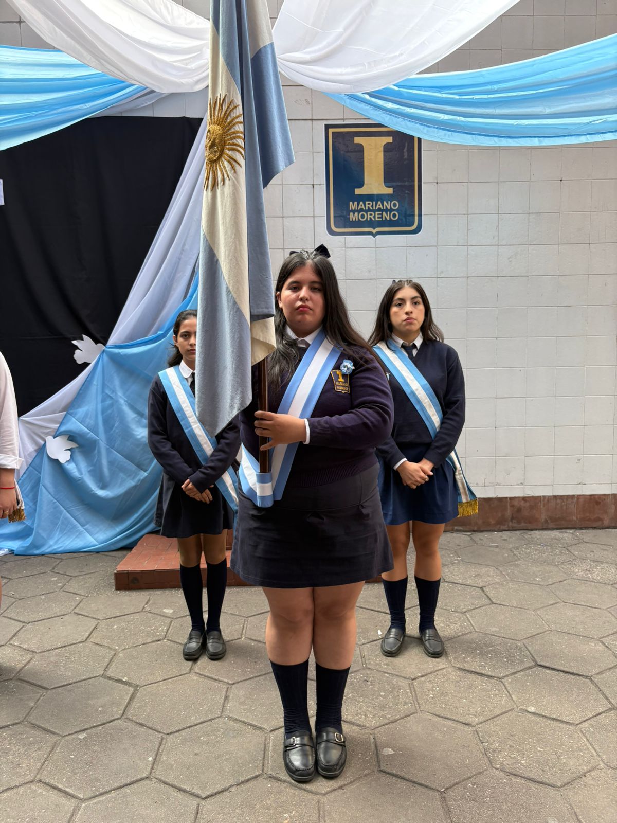 Promesa - constitucion arg.