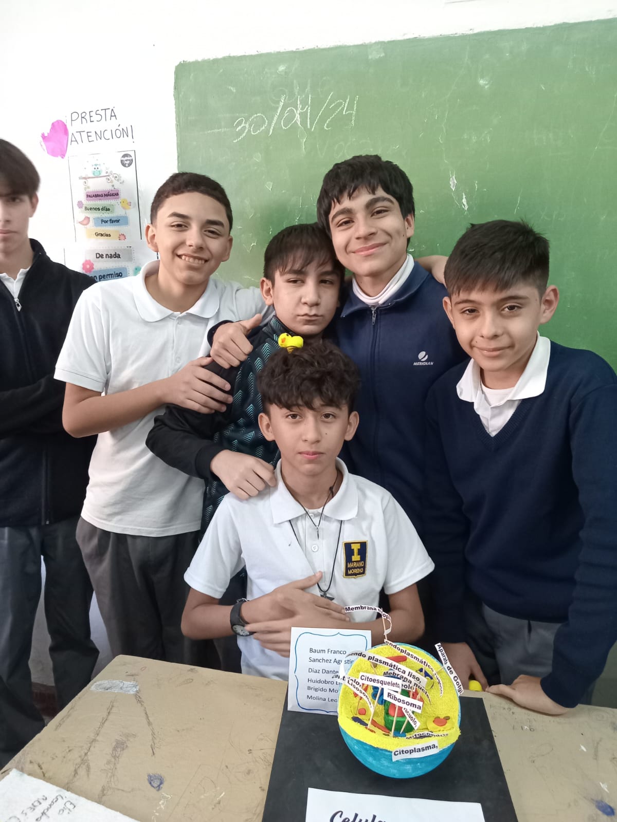 Proyecto Prevención del Dengue