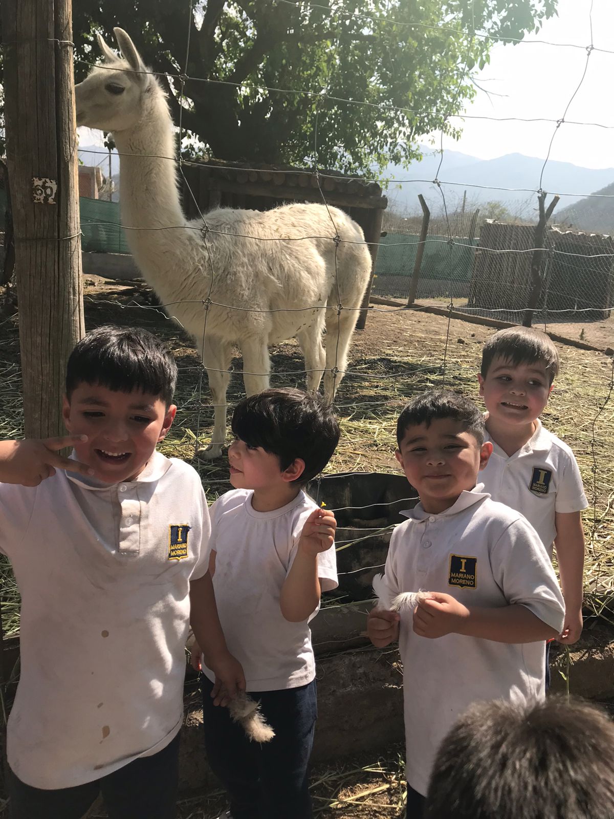 Salida Educativa - Inicial